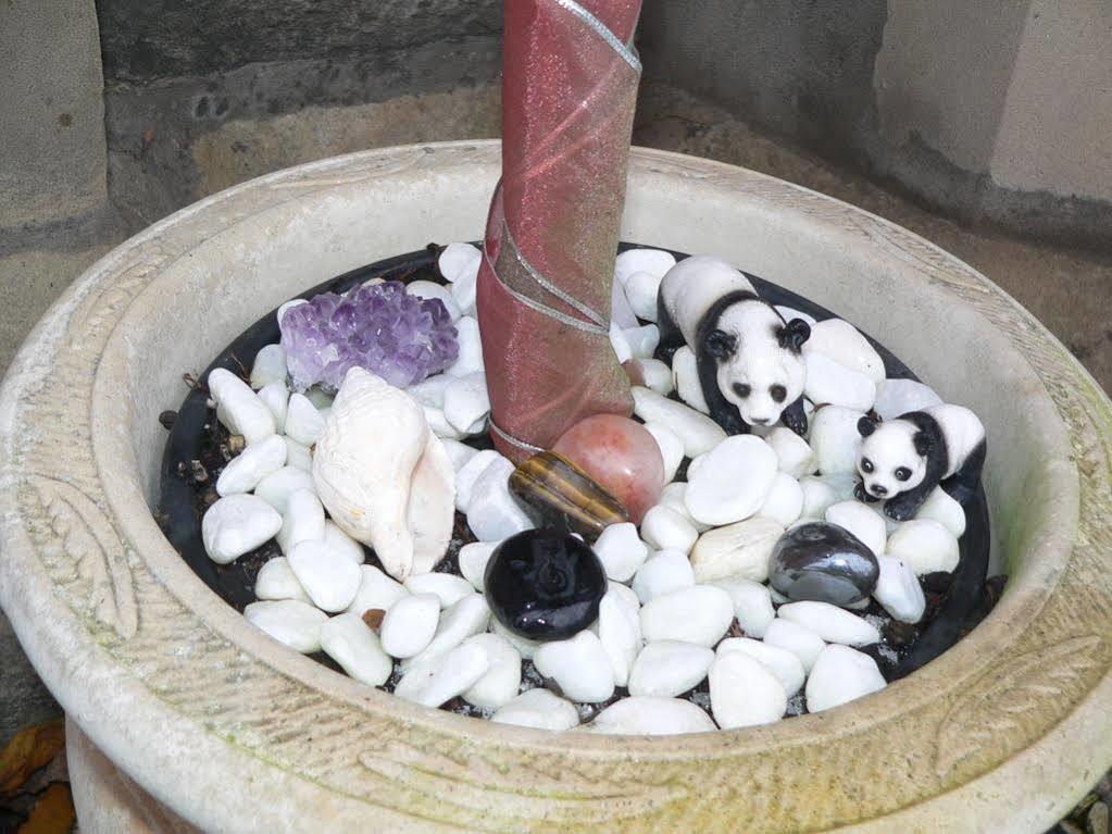 Panda Bed & Breakfast EDI